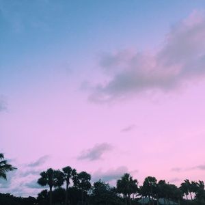 Meet your Posher, Paige